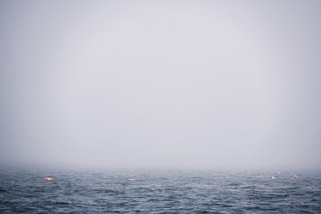 A foggy Maine morning