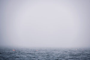 A foggy Maine morning