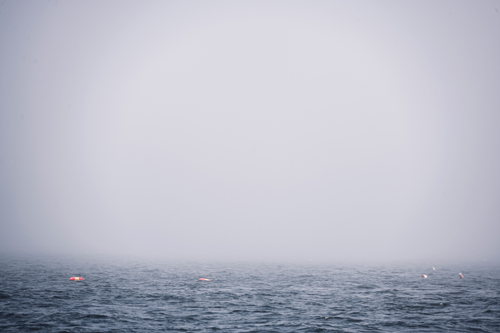 A Beginner’s Guide to Sailing Maine