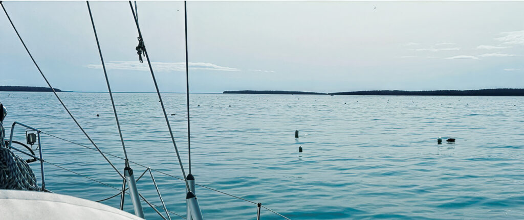 Typical toggle and main-float appearance