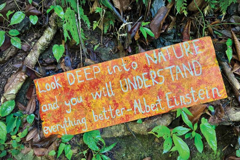 An Einstein quote on a Golfito rainforest trail
