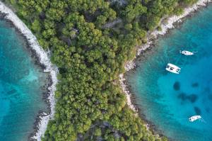 Sailboats anchored in a bay next to trees