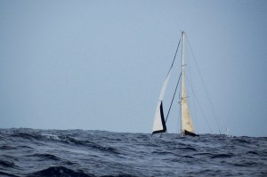 DSC_3304 A Sailboat barely visible between waves