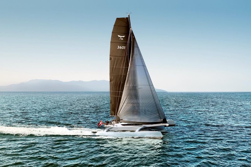 Dragonfly 36