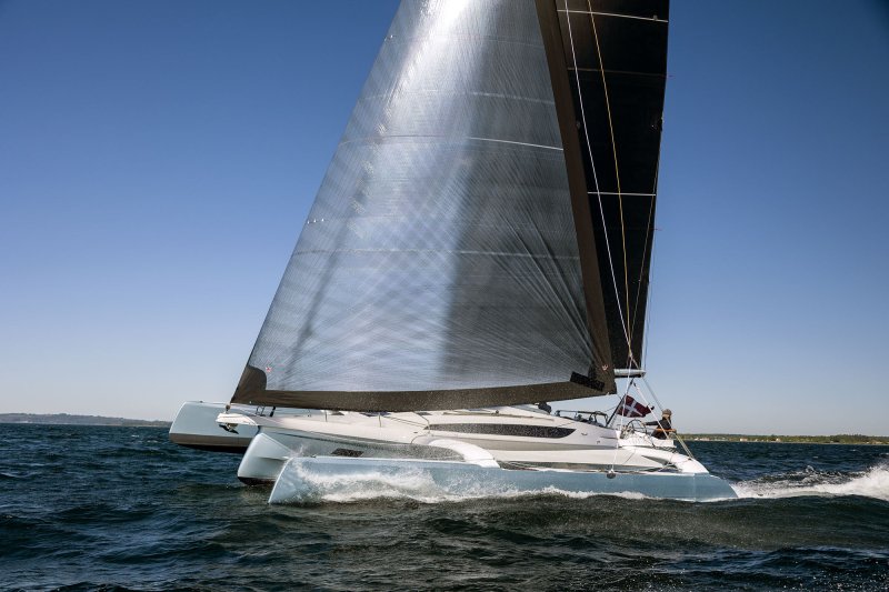 Dragonfly 36